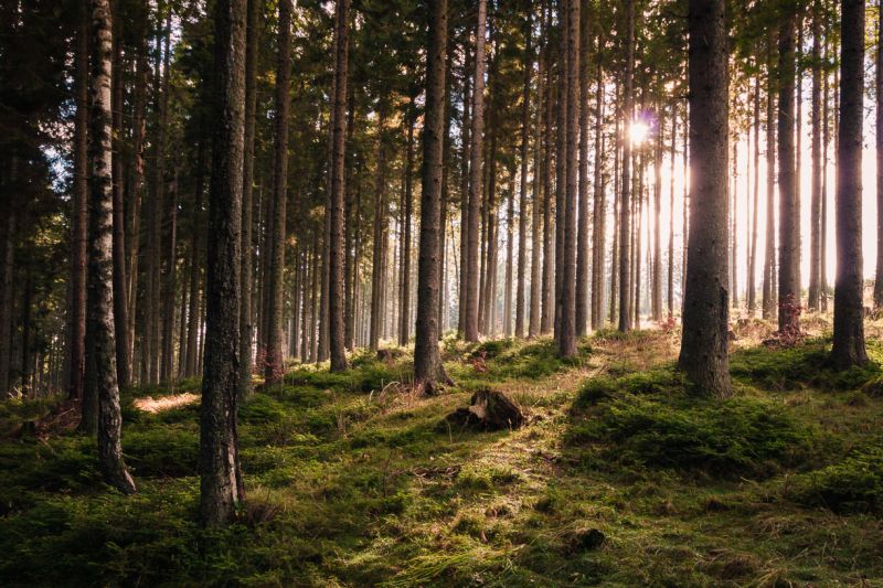 20161127 4030 20161127 4030